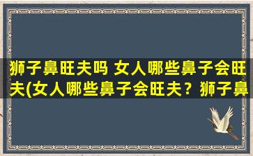 狮子鼻旺夫吗 女人哪些鼻子会旺夫(女人哪些鼻子会旺夫？狮子鼻是否真的有用？！)